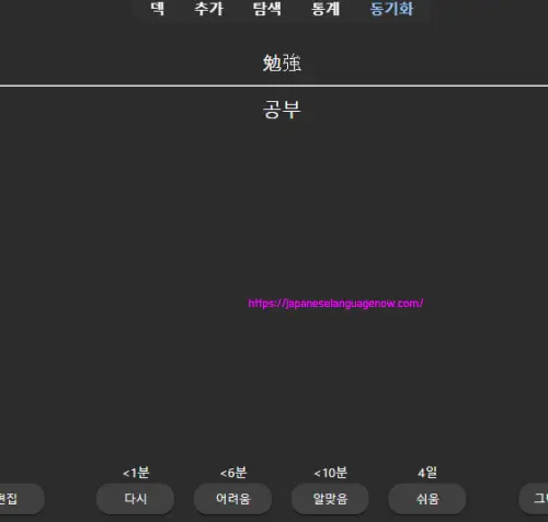 안키 단어 내용